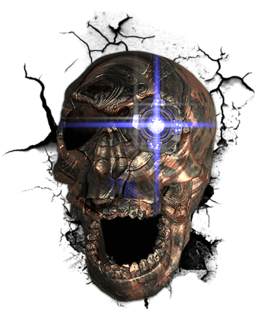 This image has an empty alt attribute; its file name is skulldudewithcrack.png