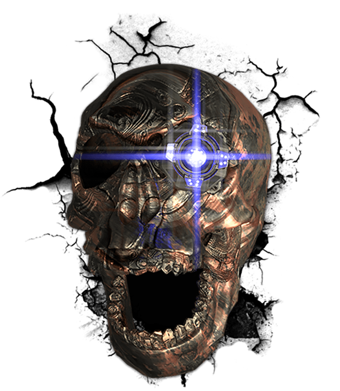 This image has an empty alt attribute; its file name is skulldudewithcrack.png